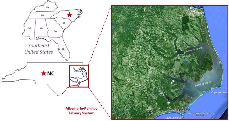 Figure 1 - The location of the Albemarle-Pamlico Sound Estuary System relat...